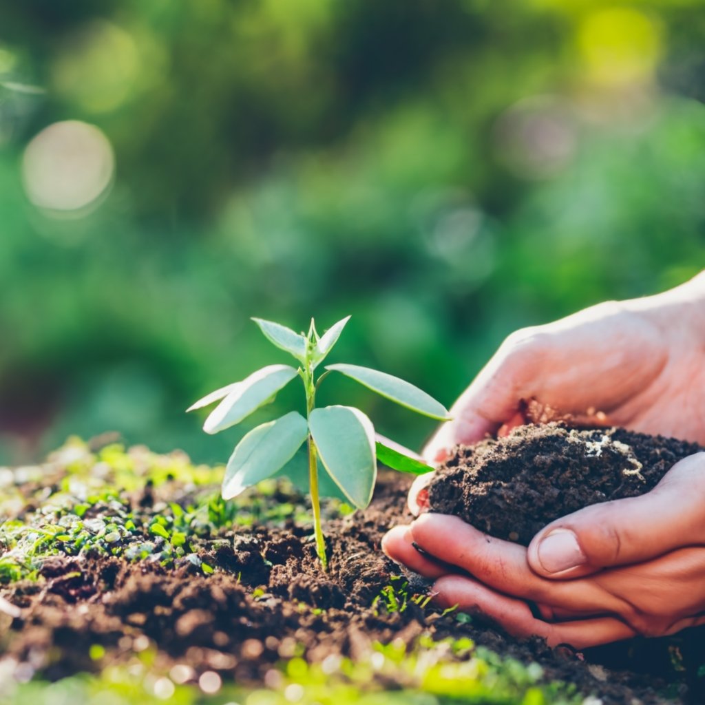 vermicomposting